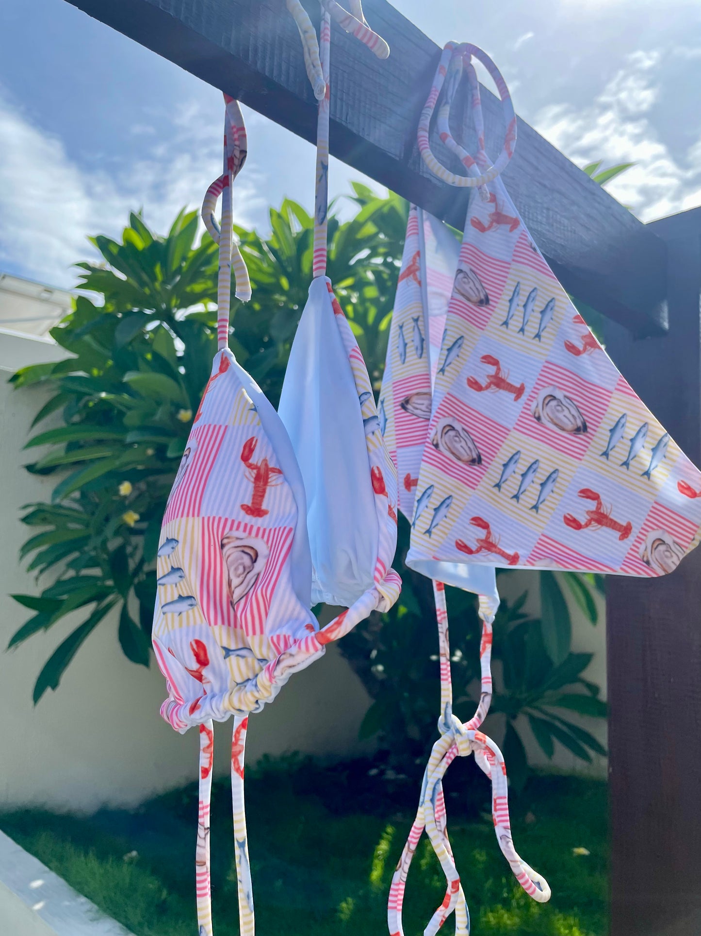 Salty Dips Bikini Set